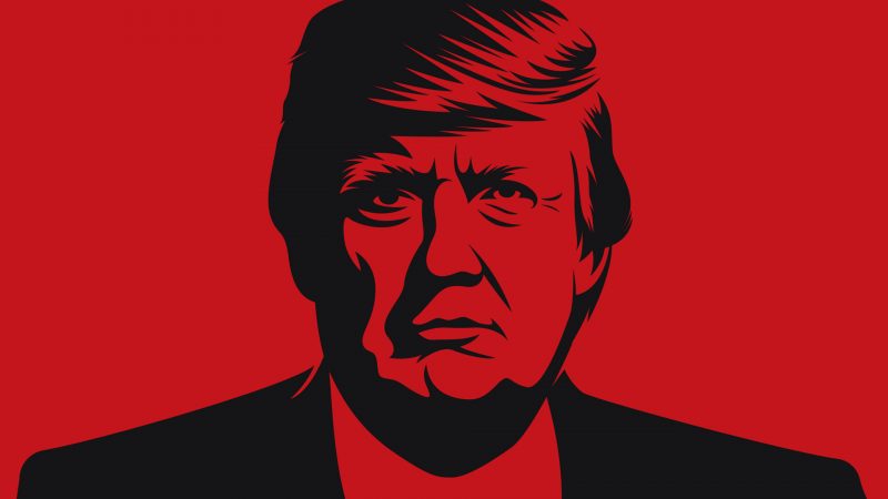 Donald STOP 02